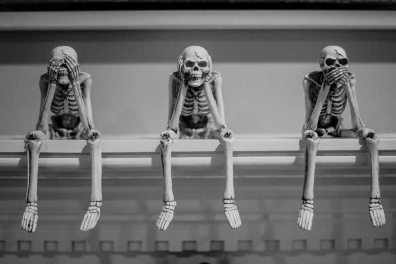 danielle-macinnes-1114695-unsplash danielle-macinnes-1114695-unsplash